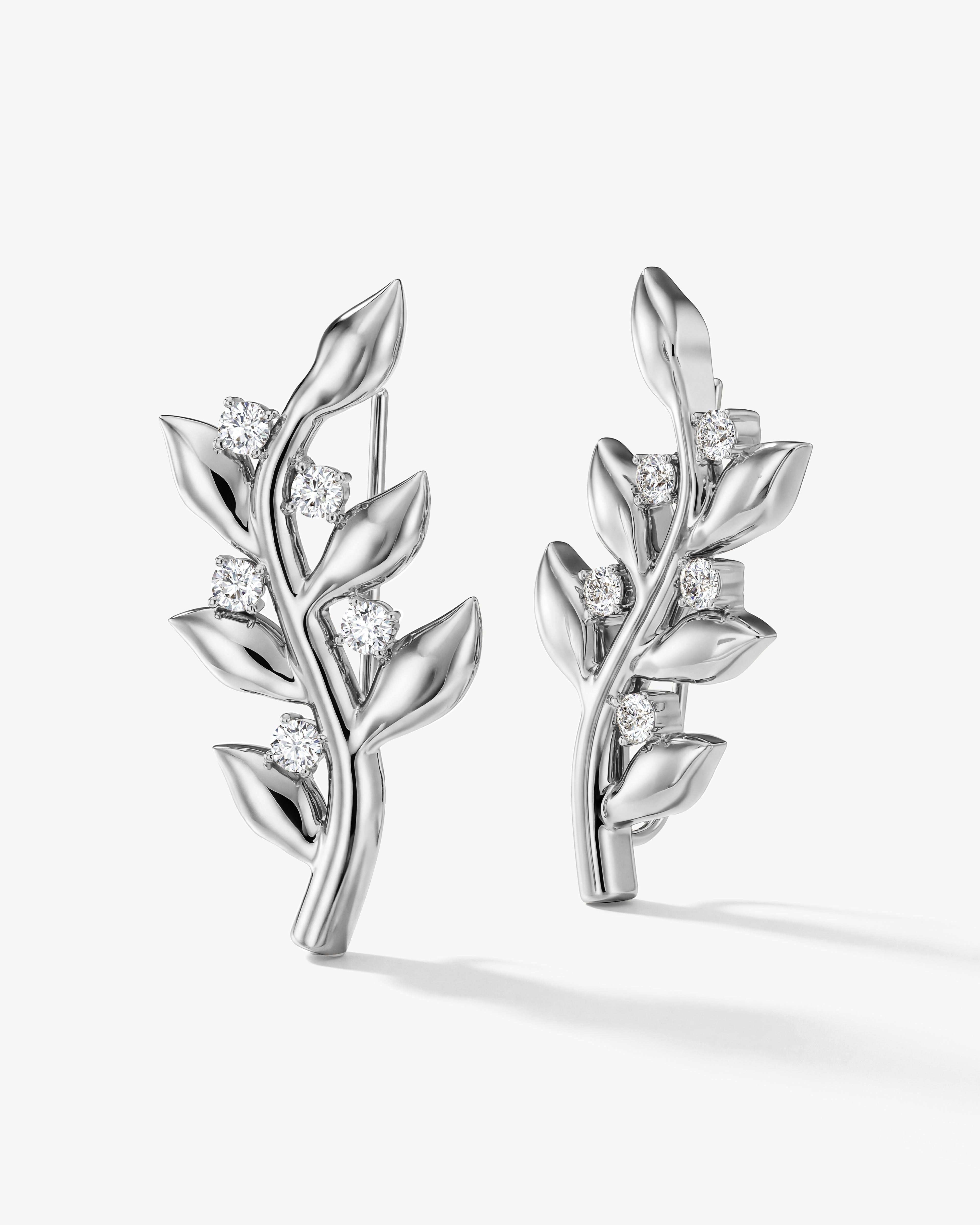 Vine Climber Earrings