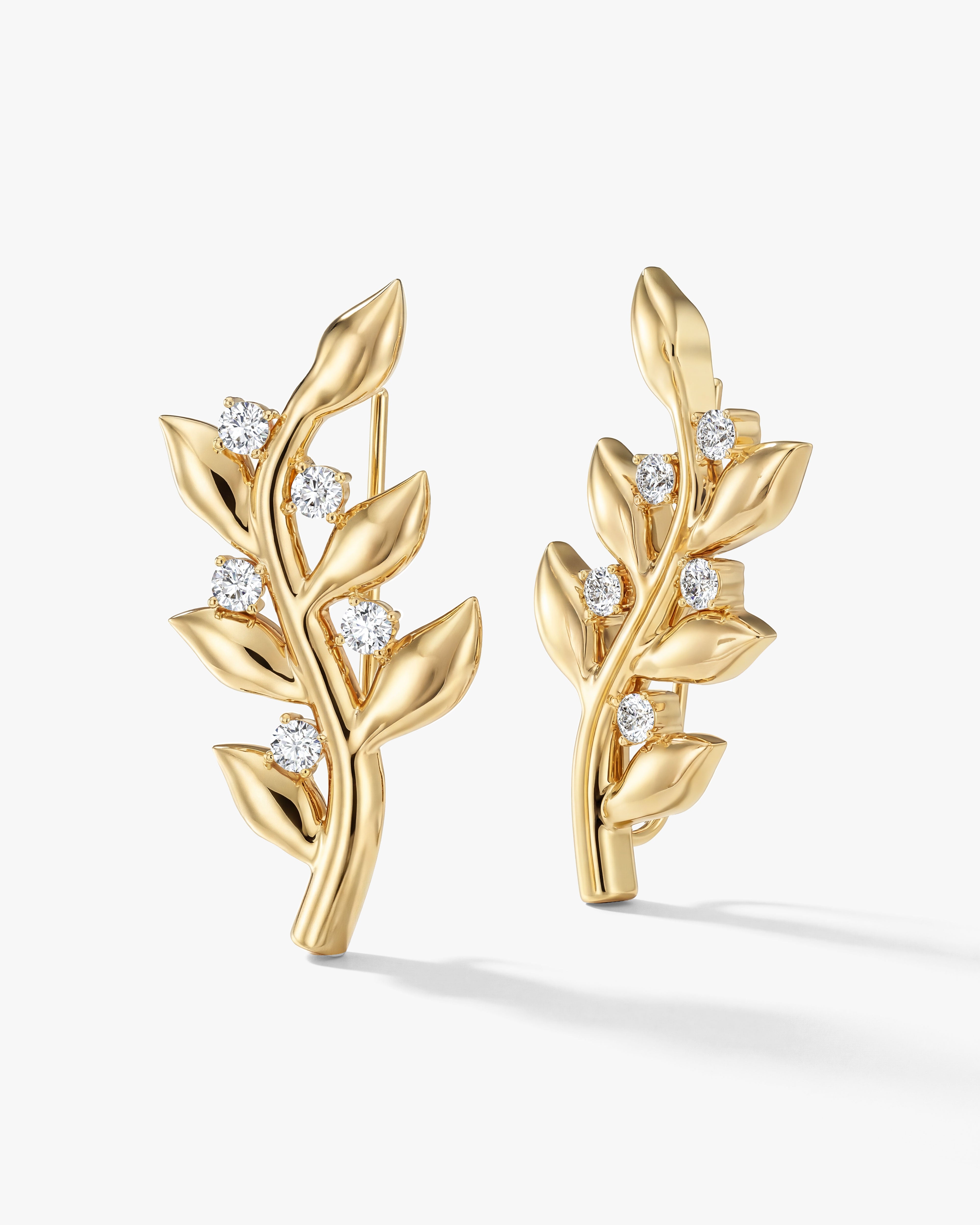 Vine Climber Earrings