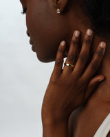 3-tryon-5mm-Polished Beveled.jpg