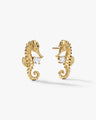 Seahorse Stud Earrings
