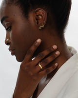 4-tryon-4mm-Mattebrush Dome.jpg