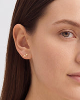 Star Crawler Earrings