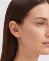 Star Crawler Earrings