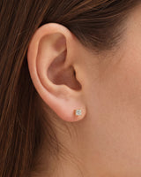 Princess Cut Stud Earrings (0.50 ct tw)
