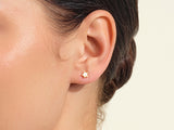 Flush Set Star Earrings