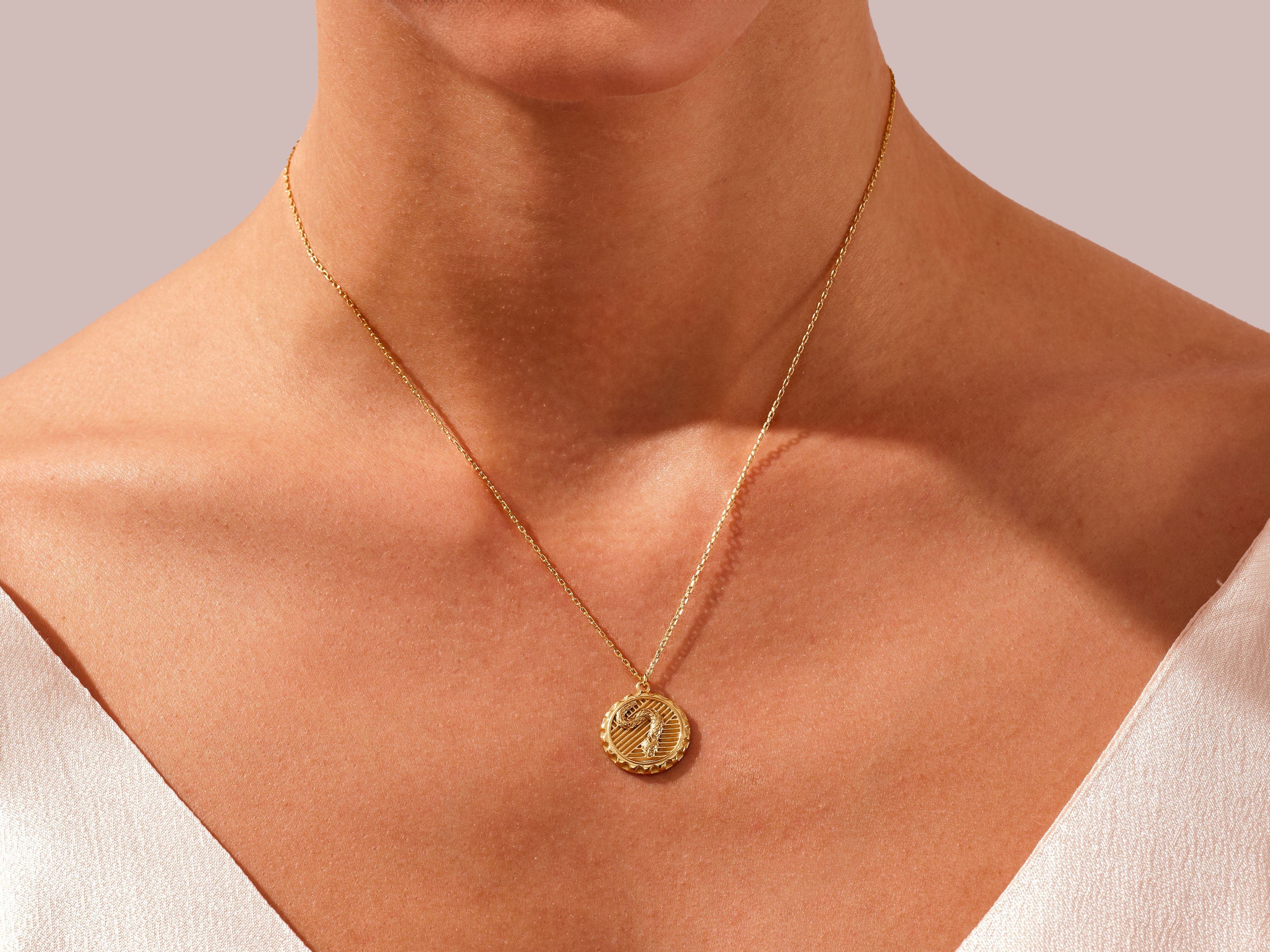 Snake Coin Necklace