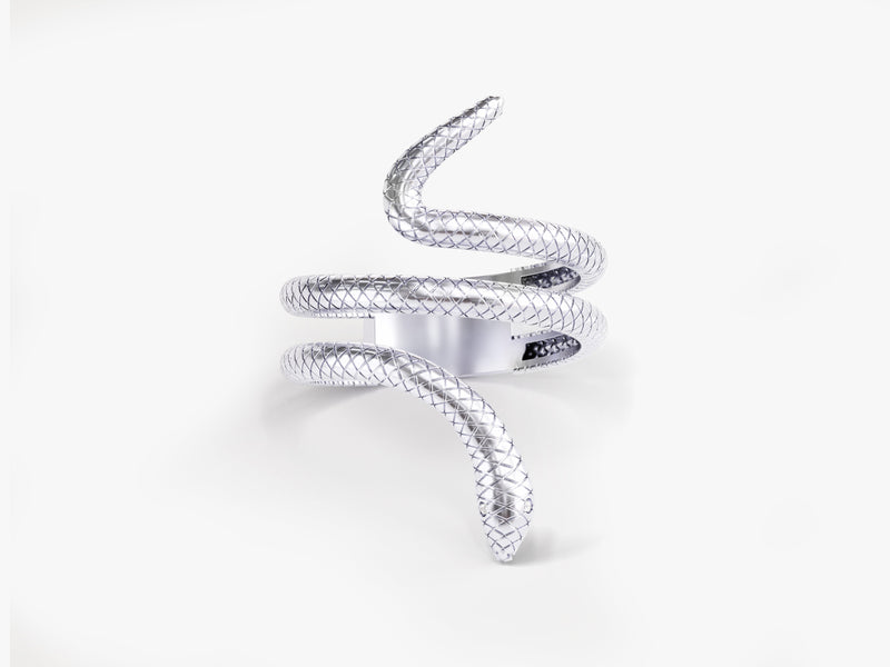 Silver snake ring jewelry, detailed texture, elegant design